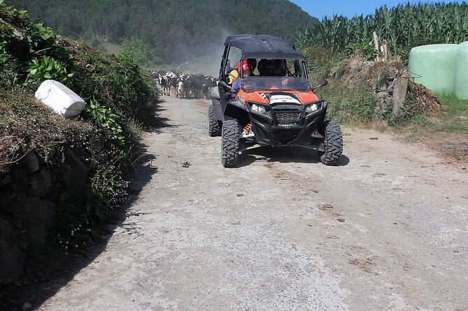 Buggy – Off-road Excursion w/ lunch – Coast to Coast (Shared) - Starting in Valados, then out past Ponta Delgada