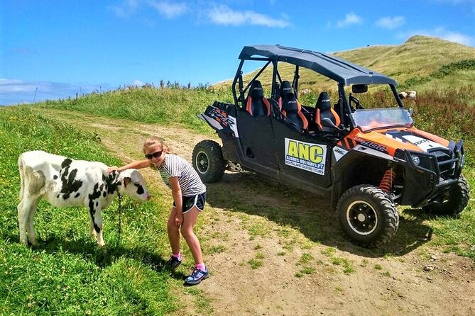 Buggy – Off-road Excursion w/ lunch – Coast to Coast (Shared) - Miradouro Caldeiras de Ribeira Grande: the big named stop