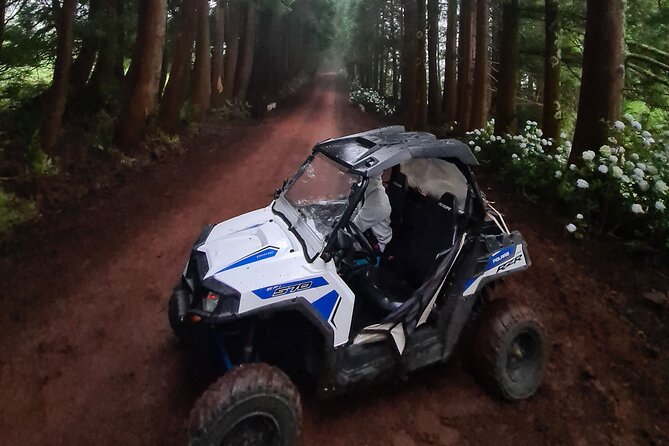 BUGGY TOUR - West / Center of the island (off-road) - Off-Road Time: Paved Warm-Up to Real Trail Driving