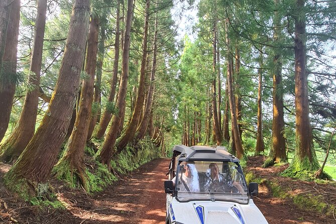 BUGGY TOUR - West / Center of the island (off-road) - Stops Along the Way: Cheese, Bathrooms, and Quick Photo Breaks