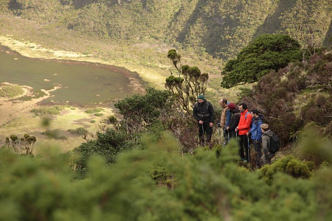 Caldeira do Faial Descent - private hiking tour - Key highlights before you book
