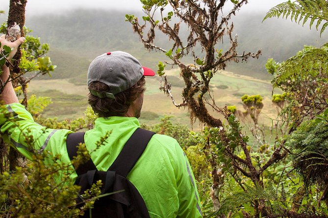 Caldeira do Faial Descent - private hiking tour - Your certified guide, and why the descent is safer with help