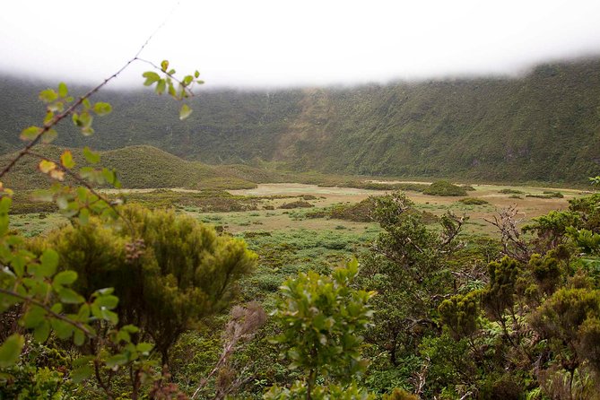 Caldeira do Faial Descent - private hiking tour - Value for your money: what $152.59 buys you on Faial