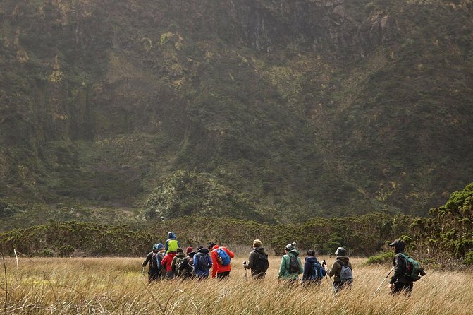 Caldeira do Faial Descent - private hiking tour - Private descent timing, pickup, and what “5 hours” really means
