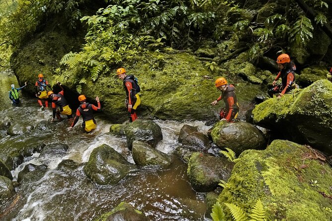 Canyoning Adventure in Ribeira da Salga (Sao Miguel - Azores) - Who This Canyoning Trip Is For (and Who Should Skip It)