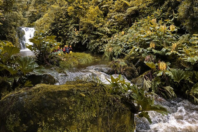 Canyoning Adventure in Ribeira da Salga (Sao Miguel - Azores) - Price and What You Get for $162.20