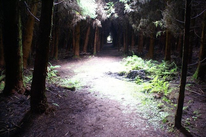 Cave Tour in Terceira - Price and Value: Why €9 Matters, but the Total Still Works