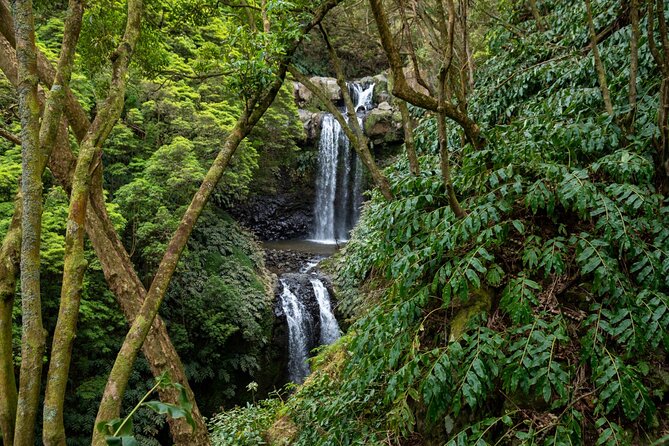 Chasing Waterfalls in the Azores - A full-day São Miguel waterfall chase, starting from Ponta Delgada