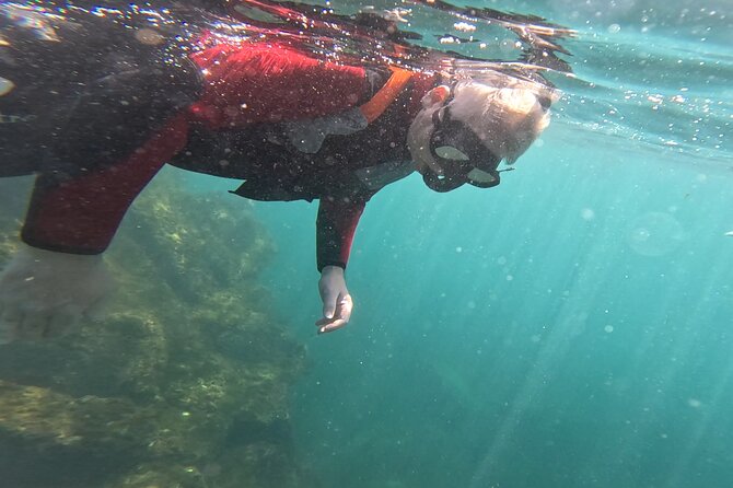 Coasteering in Caloura (Sao Miguel - Azores) - Caves, natural pools, and the 1 to 8 meter jump choices