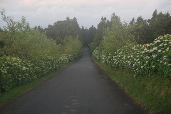 Complete Tour of Flores Island in the Azores - Why This “Complete Flores” Day Works