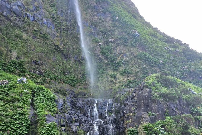 Complete Tour of Flores Island in the Azores - Stop 3: Rocha dos Bordões, Those Organ-Pipe Columns