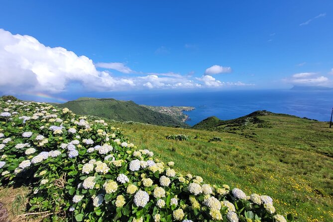 Complete Tour of Flores Island in the Azores - Stop 1: Poco da Ribeira do Ferreiro, Where Water Falls Off a Green Slope