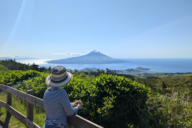 Customizable Full Day Private Tour of Faial - Quick hits
