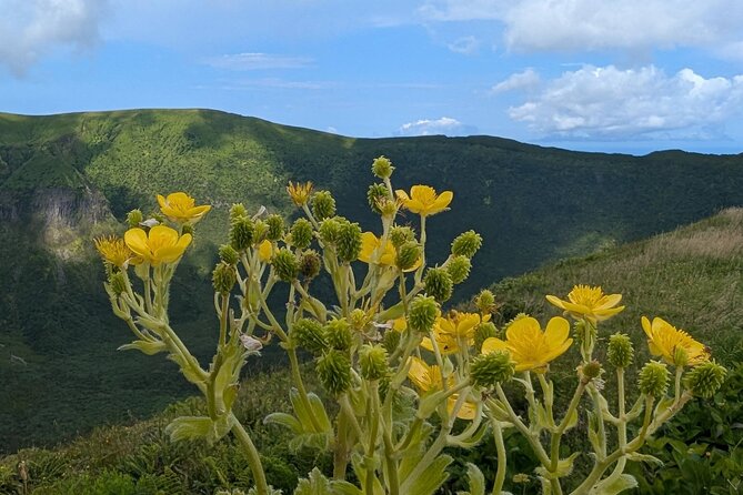 Customizable Full Day Private Tour of Faial - Caldeira do Cabeço Gordo and Praia do Norte: crater power with a quieter approach
