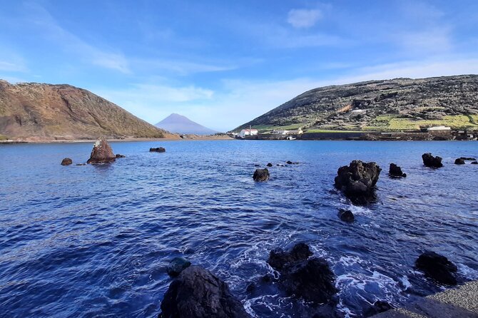Customizable Full Day Private Tour of Faial - Faial Botanic Garden: orchids, endemics, and a guide who cares