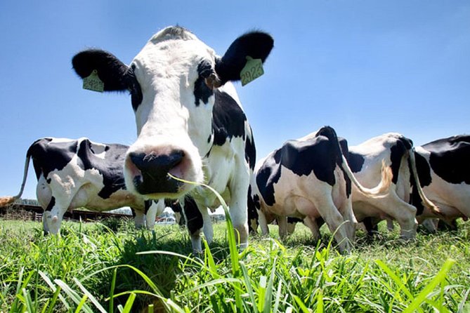 Day at the Farm - Key highlights you will care about