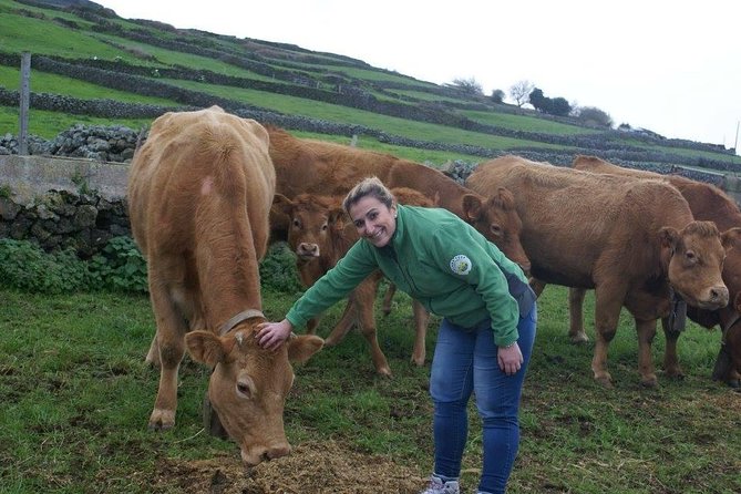 Day at the Farm - A hands-on Terceira farm day that feels like work, not a show