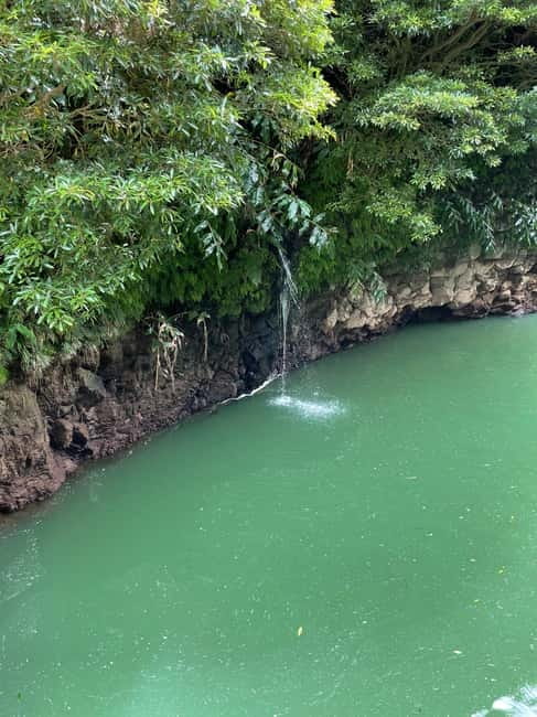 Discover and Hike São Miguel with Rúben - Why This São Miguel Hike Feels Personal With Rúben