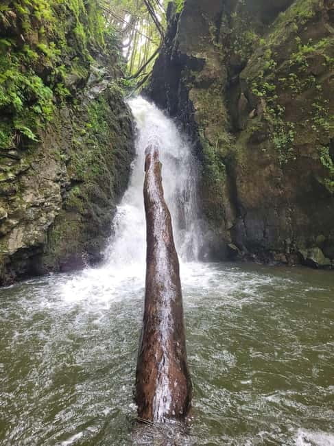 Discover and Hike São Miguel with Rúben - Fitness and Weather Reality Check Before You Book