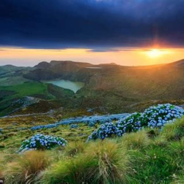Discover Flores – Full-Day Tour | Island of Your Dreams - Starting the Day Comfortably: Pickup, Timing, and a Small-Group Pace
