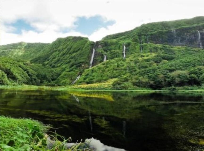 Discover Flores – Full-Day Tour | Island of Your Dreams - The Poço Do Bacalhau Waterfall Stop: Time to Walk, Photograph, and Swim