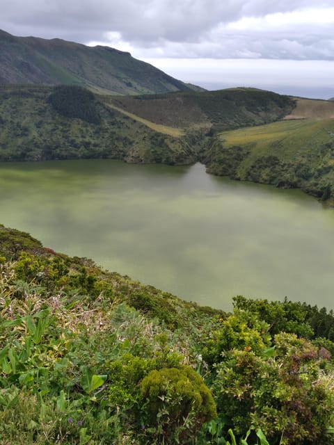 Discover Flores – Full-Day Tour | Island of Your Dreams - The Jurassic Park Walk: Poço do Ribeiro do Ferreiro and Why It’s Worth the Effort