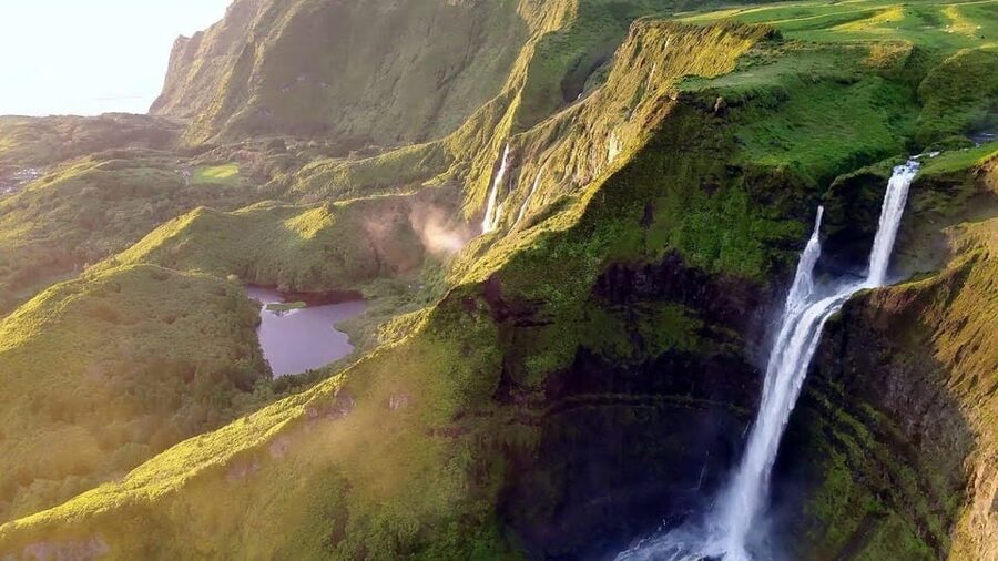 Discover Flores – Full-Day Tour | Island of Your Dreams - Fajã Grande, More Falls, and Wildlife Moments Near Ribeira do Ferreiro
