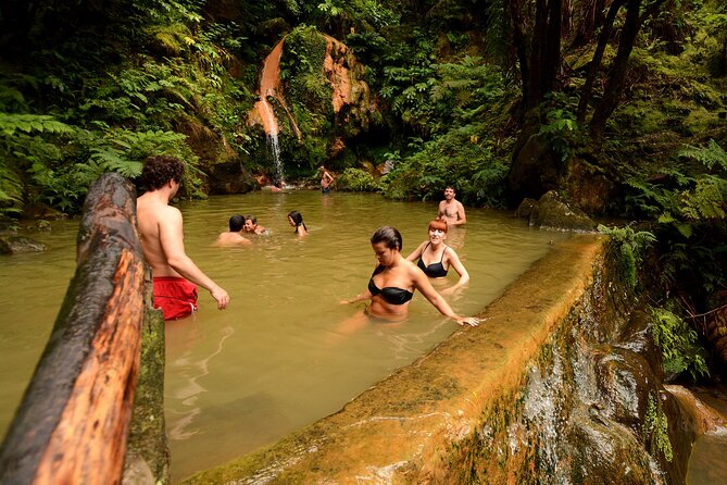Discover São Miguel: Full Day Fogo and Sete Cidades with lunch - Pineapple Plantation stop, the tasting that adds flavor to the scenery