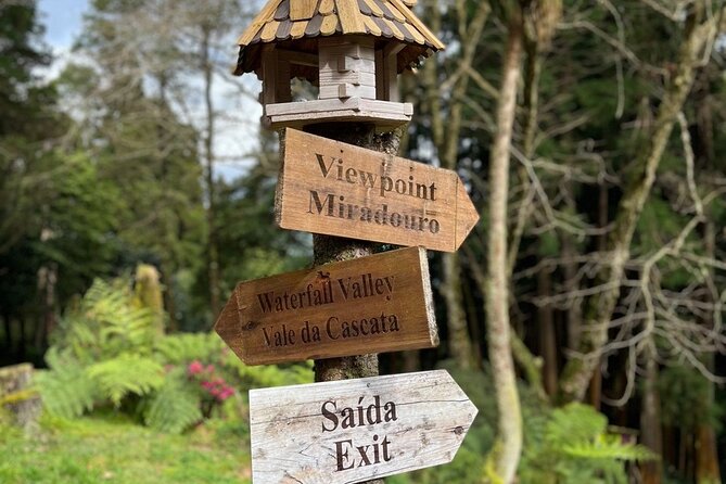 Discover the Hidden Gems of São Miguel - Full Day Private Tour - Why this private São Miguel day feels more “you” than a bus tour