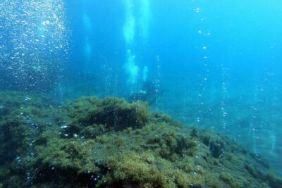 Double Scuba Diving