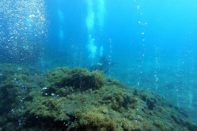 Double Scuba Diving - Session Two: Scheduled After You Book