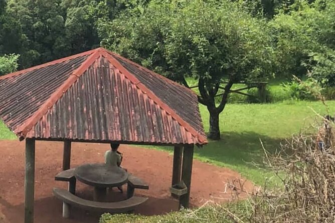 Excursion to Furnas and Nordeste with Cozido das Furnas - A smart way to spend 8 hours in São Miguel