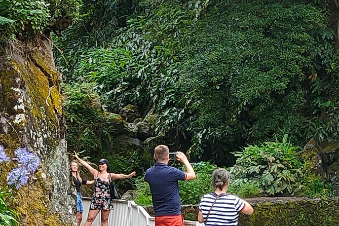 Excursion to Furnas and Nordeste with Cozido das Furnas - Tea at Gorreana since 1883, and why aromas matter more than you think