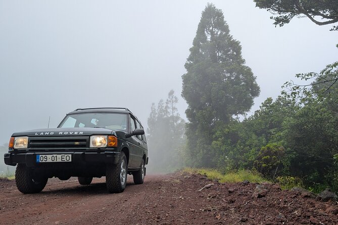 Exploring Faial Full Day 4WD Tour - Capelo Forest Reserve Break: A Real Pause With Restrooms