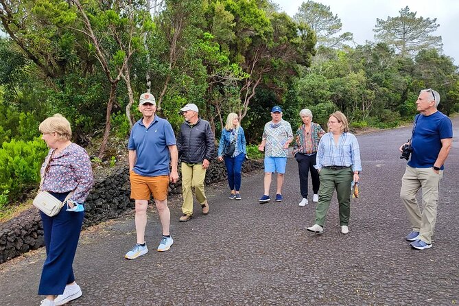 Faial Island: Full-Day Premium Private Tour - Caldeira do Faial: the origin crater, with time to walk and photograph
