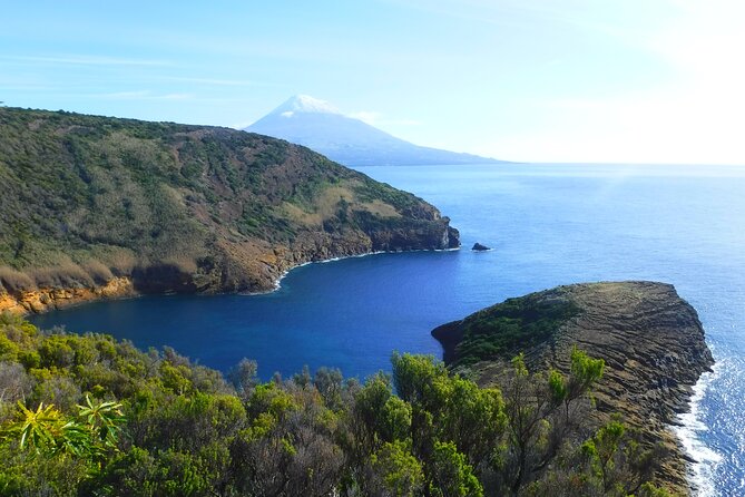 Faial Island: Full-Day Premium Private Tour - Porto do Comprido natural pools and the whaling story beneath the sand