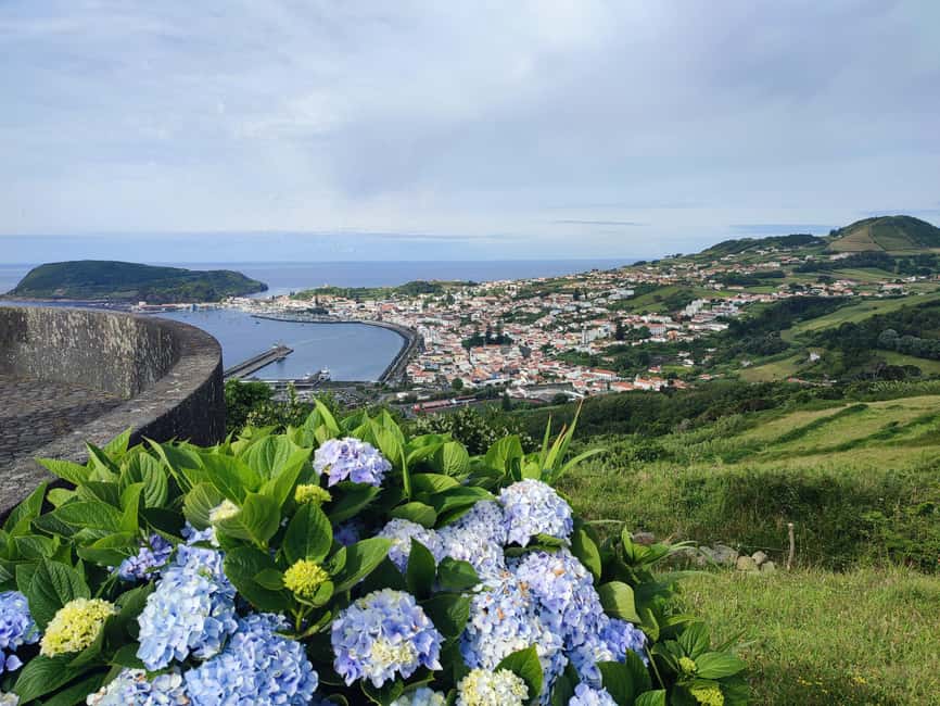 Faial Island: Full-Day Tour - Nature & Local Culture - Price and value: what your $113 is really buying