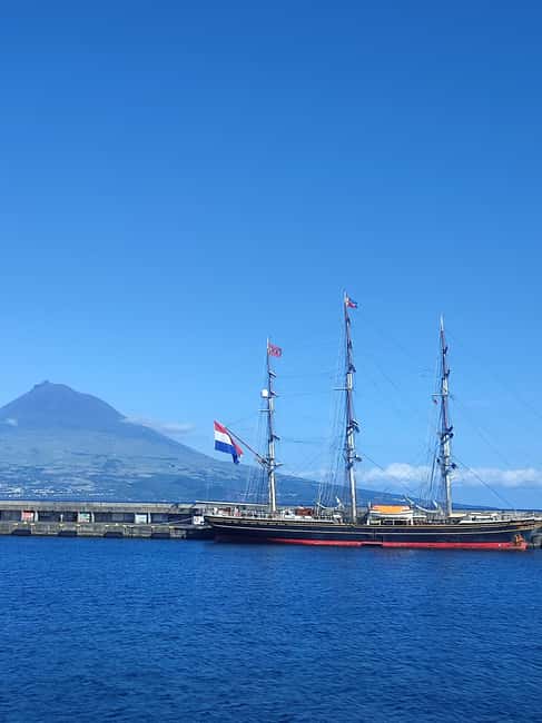 Faial Island: Full-Day Tour - Nature & Local Culture - Lunch at a local restaurant: where the day becomes human