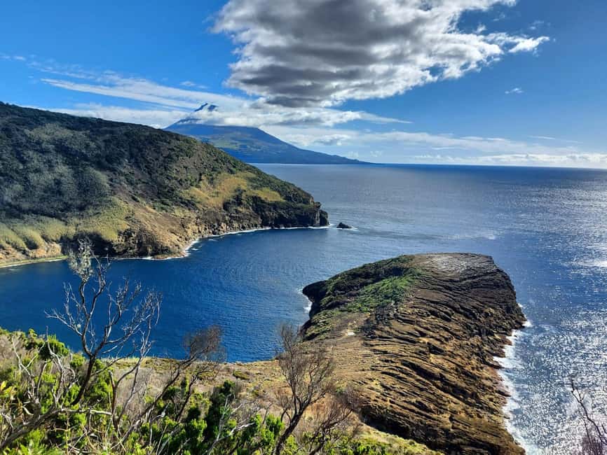 Faial Island: Full-Day Tour - Nature & Local Culture - Porto do Comprido: closing the loop with a coastal perspective