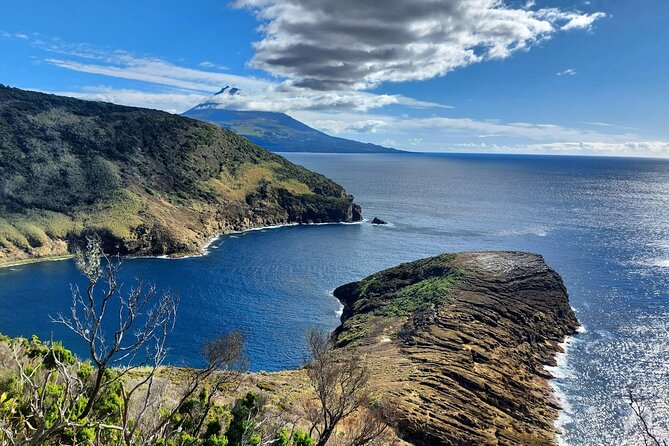 Faial Island: Half Day Premium Tour (for groups up to 8 people) - Porto do Comprido natural pools: basalt formations you can picture