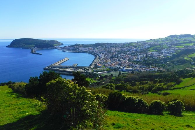 Faial Island: Half Day Premium Tour (for groups up to 8 people) - Timing, pace, and who this half day suits best