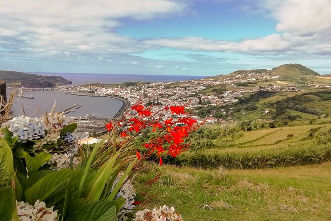 Faial Island: Half Day Tour - Capelinhos: Lunar Sands, Volcanic Contrast, and a Famous Azores Site