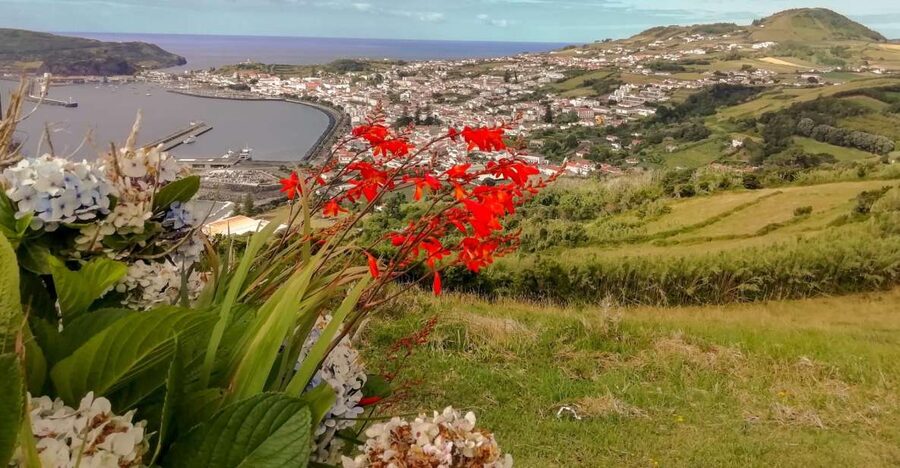 Faial Island Highlights: Half-Day Guided Tour - Miradouro de Nossa Senhora da Conceição: a view that sets the tone