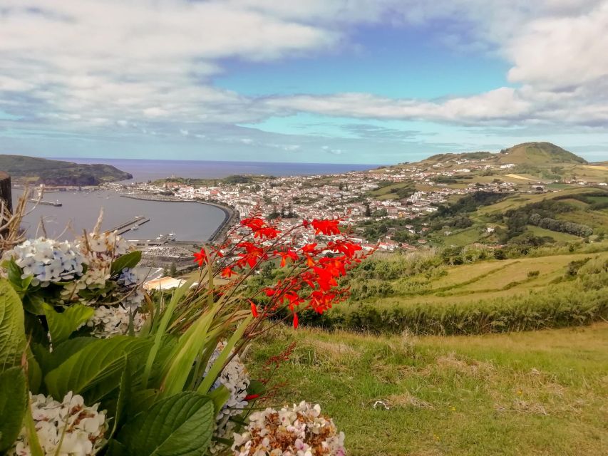 Faial Island Highlights: Half-Day Guided Tour - Capelinhos Volcano: the ash and sand walk you’ll remember