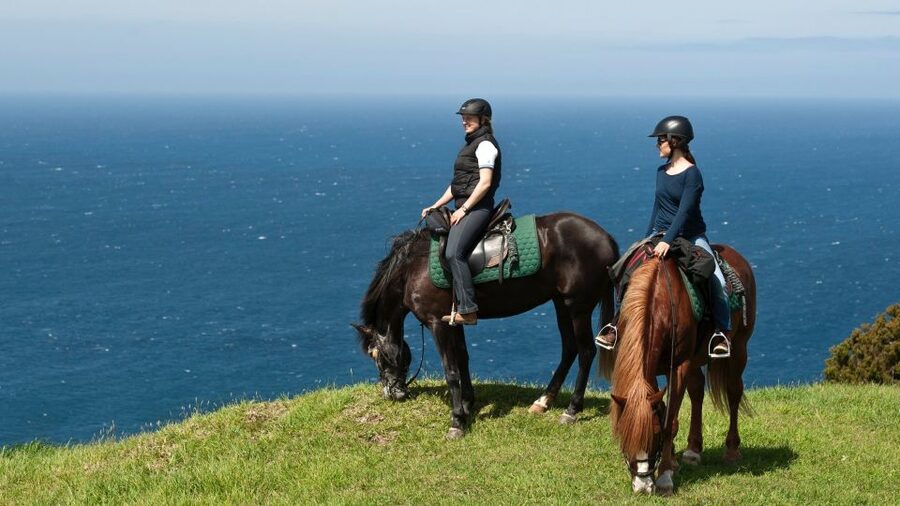 Faial Island: Horseback Riding (3 hrs - Experienced Riders) - Key points to know before you ride