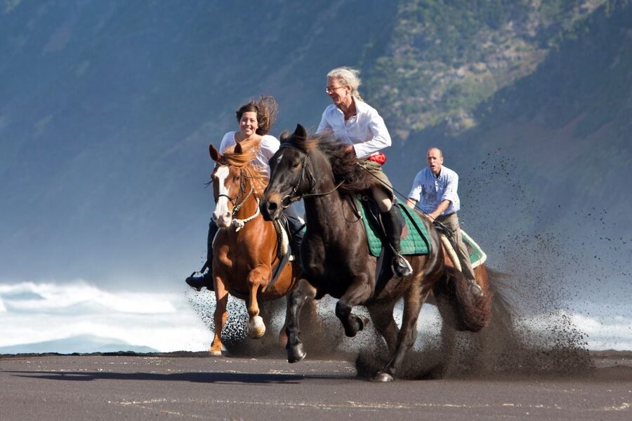 Faial Island: Horseback Riding (3 hrs - Experienced Riders) - Cedros check-in and the horse intro you will feel grateful for