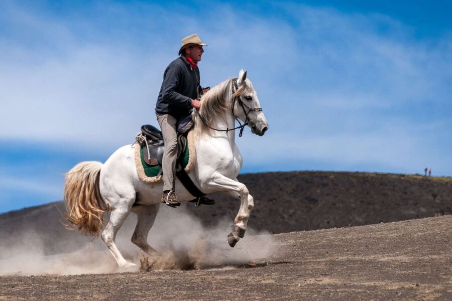 Faial Island: Horseback Riding (3 hrs - Experienced Riders) - Who this is perfect for, and who should skip it