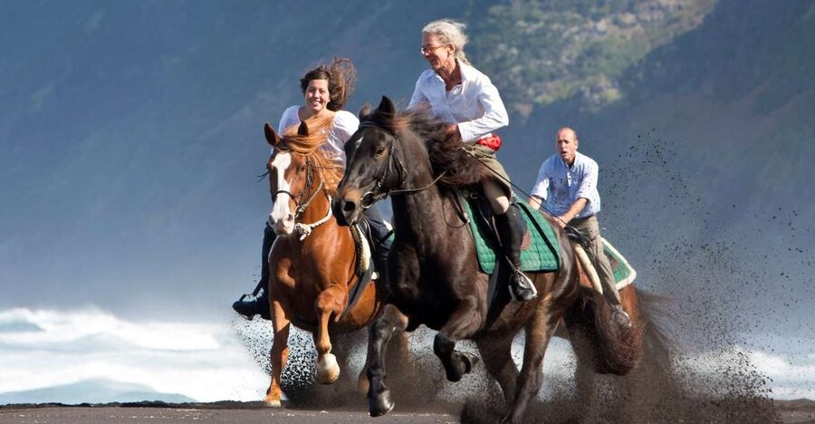 Faial Island: Horseback Riding (3 hrs - Experienced Riders) - All gaits on a moderate trail: what that means in real life