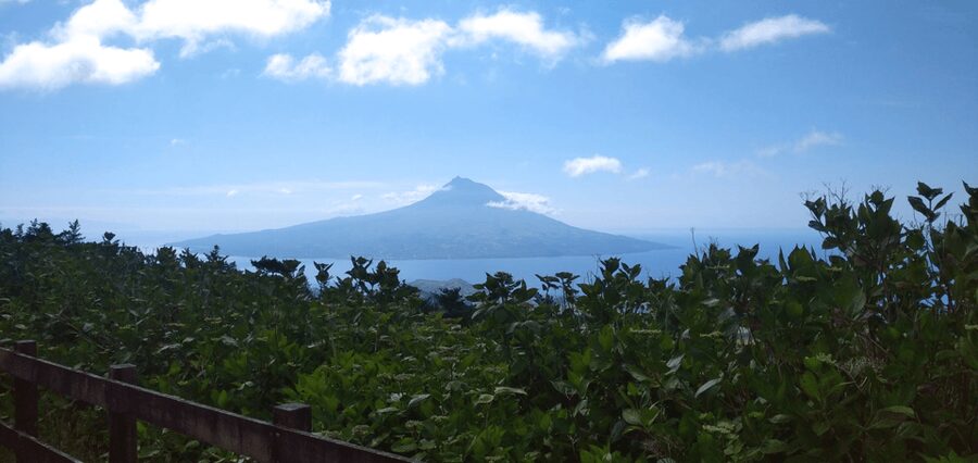 Faial Island: Personalized tour with Pic Nic - The picnic experience in Faial: local specialties, quick charm, and a real setting