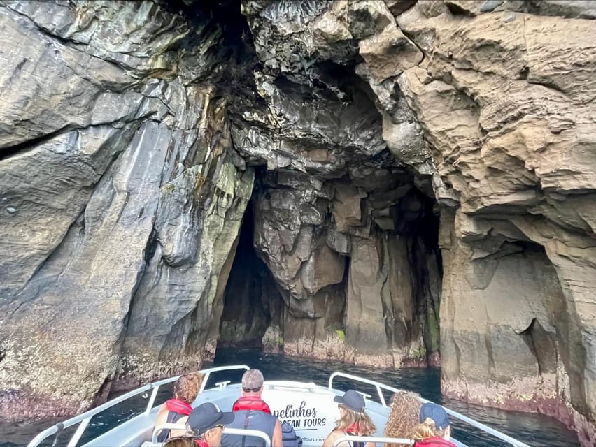 Faial Island: Unique boat tour to the Capelinhos volcano - Key highlights to know before you go